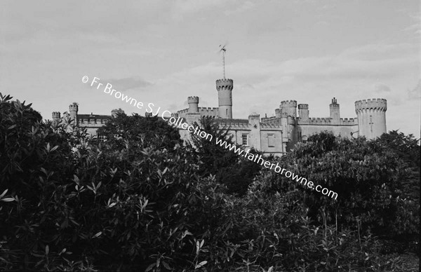 BARMEATH CASTLE BATTLEMENTS FROM N